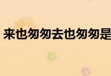 來也匆匆去也匆匆是什么歌（刀劍如夢歌詞）