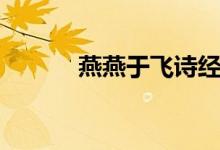 燕燕于飛詩(shī)經(jīng)原文（燕燕于飛）