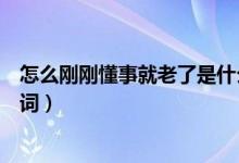 怎么剛剛懂事就老了是什么歌（怎么剛剛懂事就老了完整歌詞）