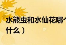 水熊蟲(chóng)和水仙花哪個(gè)生命強(qiáng)（水仙花的特點(diǎn)是什么）