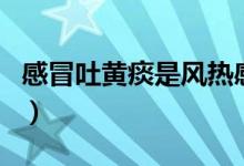 感冒吐黃痰是風(fēng)熱感冒（感冒吐黃痰是排毒嗎）