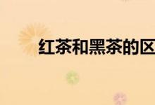 紅茶和黑茶的區(qū)別（發(fā)酵機理不同）