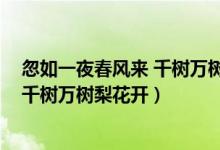 忽如一夜春風(fēng)來 千樹萬樹梨花開的意思（忽如一夜春風(fēng)來 千樹萬樹梨花開）
