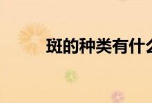 斑的種類有什么（斑的種類介紹）