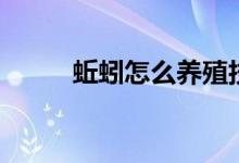 蚯蚓怎么養(yǎng)殖技術（蚯蚓怎么養(yǎng)）