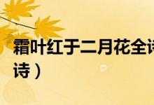 霜葉紅于二月花全詩(shī)繁體（霜葉紅于二月花全詩(shī)）