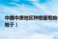 中國(guó)中原地區(qū)種植葡萄始于多少年（中國(guó)中原地區(qū)種植葡萄始于）