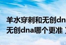 羊水穿刺和無(wú)創(chuàng)dna哪個(gè)比較準(zhǔn)(羊水穿刺和無(wú)創(chuàng)dna哪個(gè)更準(zhǔn))