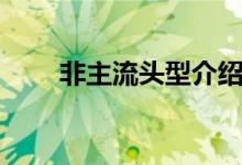 非主流頭型介紹（各自有什么特點）