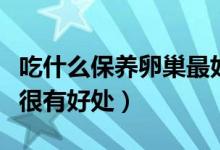 吃什么保養(yǎng)卵巢最好（這些食物對(duì)女性的卵巢很有好處）