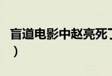 盲道電影中趙亮死了嗎（盲道電影中趙亮死了）