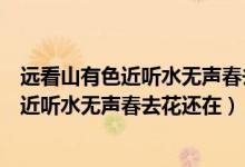 遠(yuǎn)看山有色近聽水無聲春去花還在謎底是什么（遠(yuǎn)看山有色近聽水無聲春去花還在）