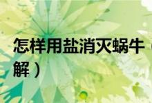 怎樣用鹽消滅蝸牛（怎樣用鹽消滅蝸牛辦法詳解）