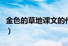 金色的草地課文的作者是誰（金色的草地課文）