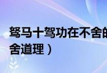 駑馬十駕功在不舍的上一句（駑馬十駕功在不舍道理）