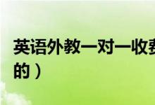 英語(yǔ)外教一對(duì)一收費(fèi)多少錢(qián)（收費(fèi)標(biāo)準(zhǔn)是怎樣的）