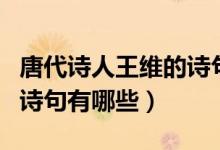 唐代詩(shī)人王維的詩(shī)句有哪些（唐代詩(shī)人王維的詩(shī)句有哪些）