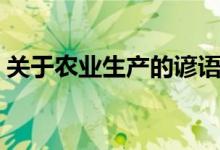 關(guān)于農(nóng)業(yè)生產(chǎn)的諺語（有關(guān)農(nóng)業(yè)生產(chǎn)的句子）