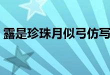 露是珍珠月似弓仿寫句子（露是珍珠月是弓）