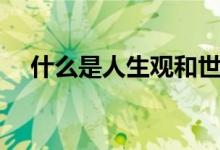 什么是人生觀和世界觀（什么是人生觀）
