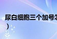 尿白細胞三個加號怎么辦（尿白細胞三個加號）