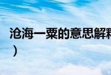滄海一粟的意思解釋是什么（滄海一粟的意思）
