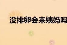 沒排卵會來姨媽嗎(沒排卵會來月經(jīng)嗎)