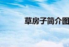 草房子簡介圖片（草房子簡介）