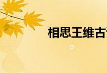 相思王維古詩（相思 王維）
