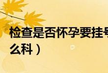 檢查是否懷孕要掛號嗎（檢查是否懷孕要掛什么科）