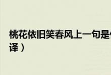 桃花依舊笑春風(fēng)上一句是什么（桃花依舊笑春風(fēng)的原文及翻譯）