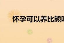 懷孕可以養(yǎng)比熊嗎（懷孕可以養(yǎng)狗嗎）