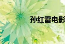 孫紅雷電影（孫紅雷簡介）