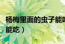 楊梅里面的蟲子能吃嗎（楊梅里面的蟲子能不能吃）