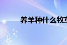 養(yǎng)羊種什么牧草好（以南方為例）