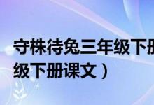 守株待兔三年級(jí)下冊課文原文（守株待兔三年級(jí)下冊課文）