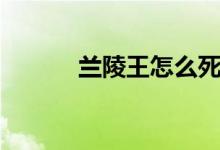 蘭陵王怎么死的（蘭陵王簡(jiǎn)介）
