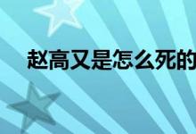 趙高又是怎么死的（歷史上趙高的死因）