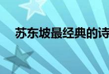 蘇東坡最經(jīng)典的詩詞（最著名的十首詩）