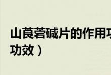 山莨菪堿片的作用功效（山莨菪堿片的作用和功效）