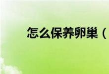 怎么保養(yǎng)卵巢（女性如何保養(yǎng)卵巢）