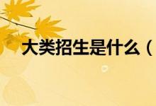 大類招生是什么（大類招生是什么意思）