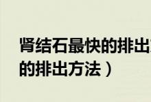 腎結(jié)石最快的排出方法3d演示（腎結(jié)石最快的排出方法）