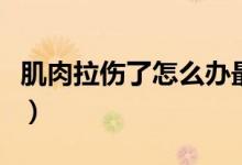 肌肉拉傷了怎么辦最有效（肌肉拉傷了怎么辦）