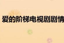 愛的階梯電視劇劇情（電視劇愛的階梯簡介）