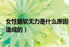 女性腿軟無力是什么原因引起的（女性腿軟無力是什么原因造成的）