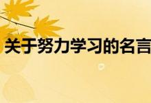 關(guān)于努力學(xué)習(xí)的名言（勤奮學(xué)習(xí)的名言警句）