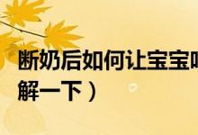 斷奶后如何讓寶寶吃奶粉（下面就帶大家來(lái)了解一下）