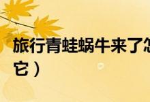 旅行青蛙蝸牛來了怎么辦（我們可以這樣招待它）