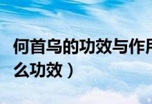 何首烏的功效與作用及食用方法（何首烏有什么功效）